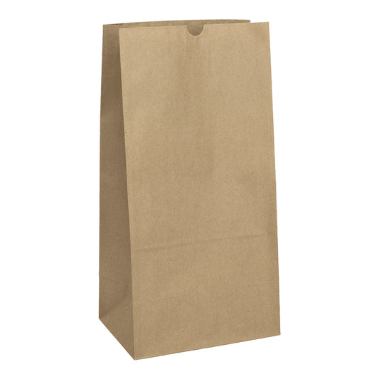 Canada 20 lb Natural Kraft Paper Bag - 500/Pack