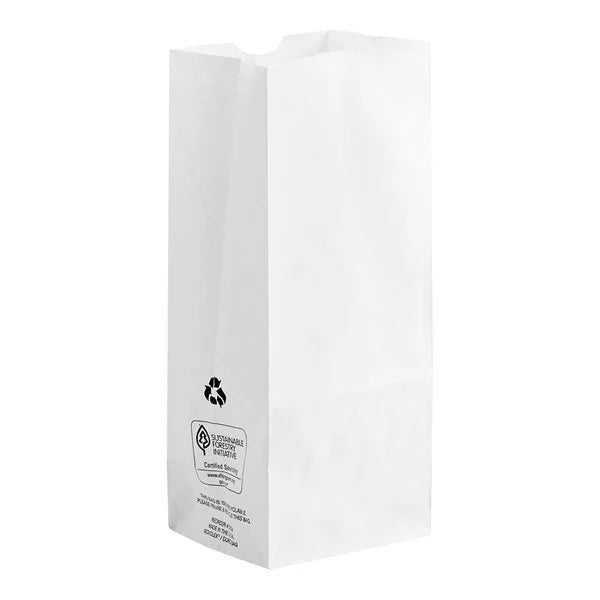 Imported 4 lb White Paper Bag - 500/Pack