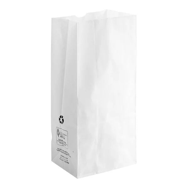 Imported 6 lb White Paper Bag - 500/Pack