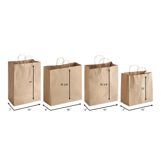 10" x 6 3/4" x 12" Natural Kraft Paper Bag With handles - 250/Cs