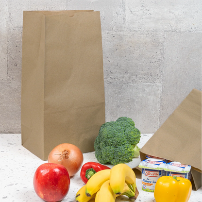 Canada 20 lb Natural Kraft Paper Bag - 500/Pack