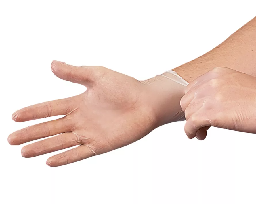 Vinyl Gloves White Powder Free Large - 1,000/Case